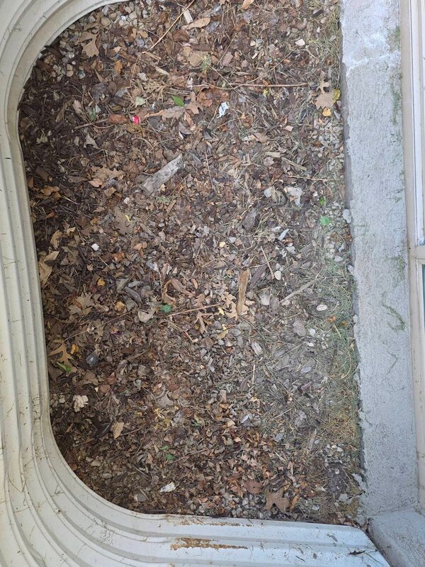 Window well full of leaves and debris before cleaning